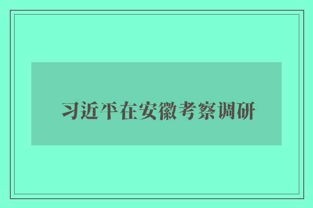 习近平在安徽考察调研