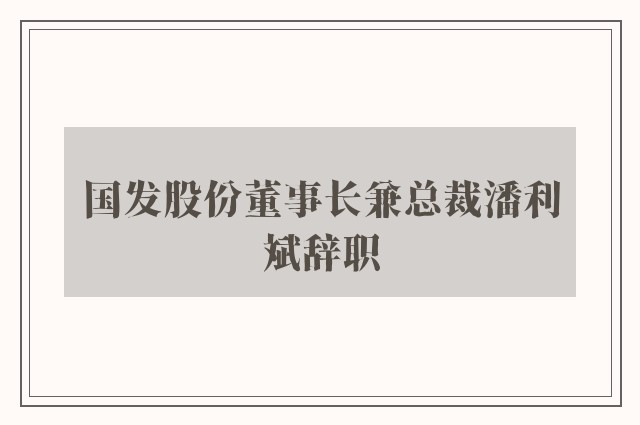 国发股份董事长兼总裁潘利斌辞职